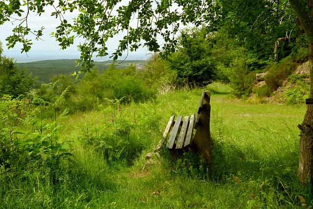 时也曾提到 时也曾提到