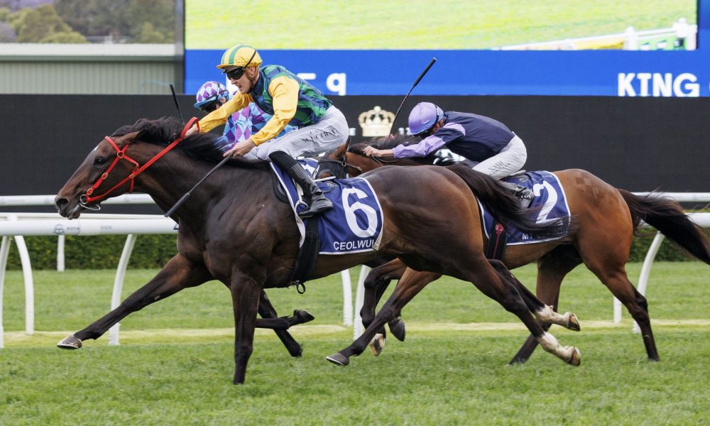 验以及提升 验以及提升