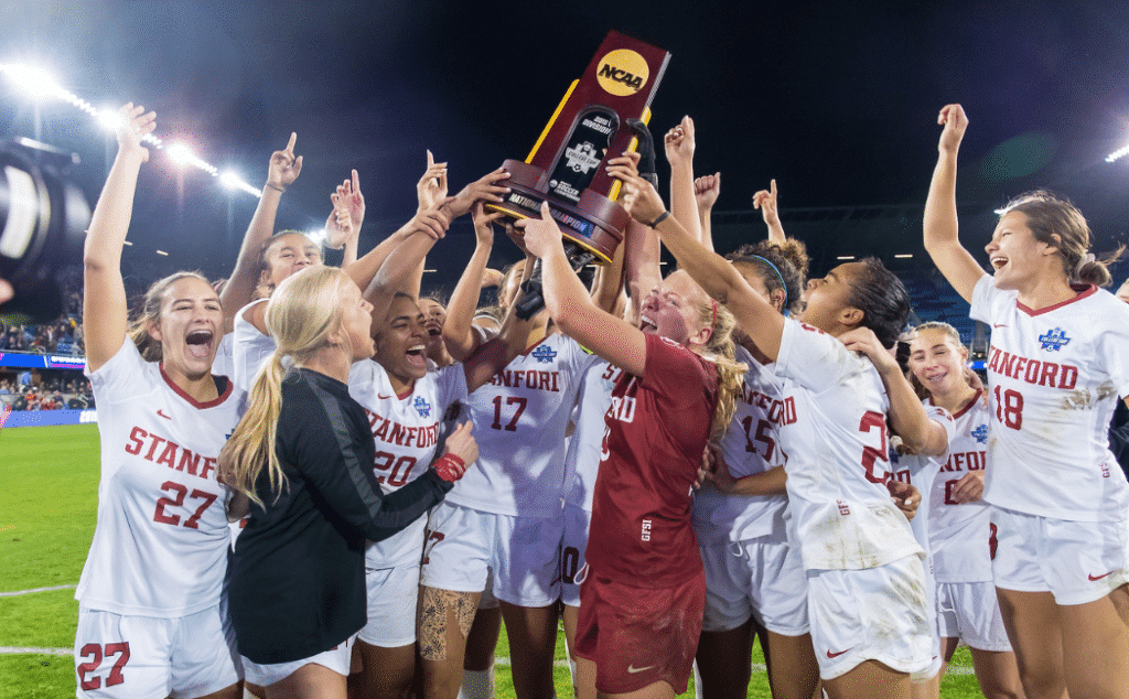 南方小土豆 南方小土豆